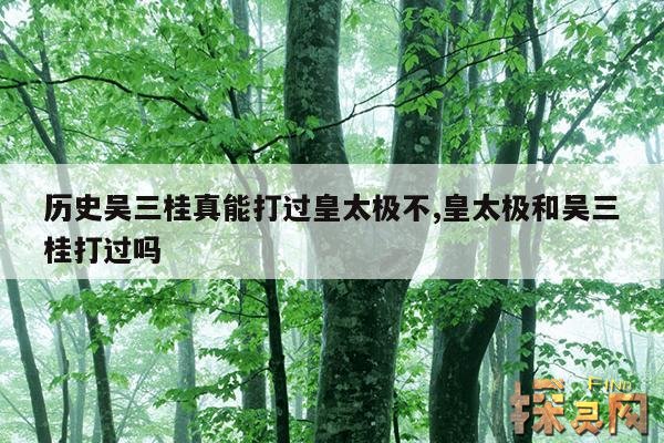 历史吴三桂真能打过皇太极不,吴三桂打仗厉害吗？