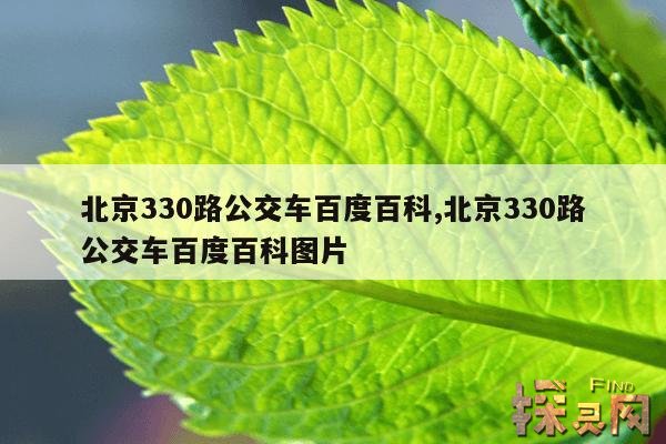 北京330路公交车百度百科,北京330路公交车百度百科图片