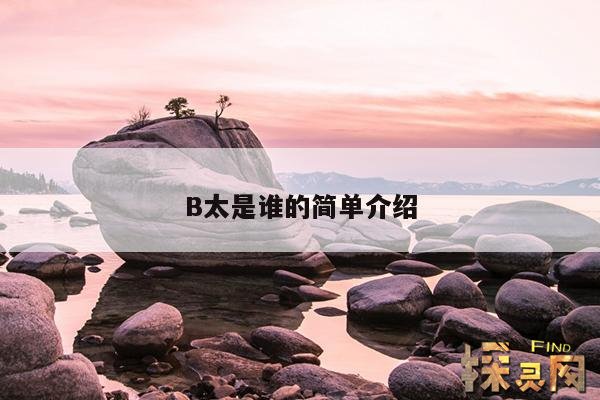 B太是谁的简单介绍