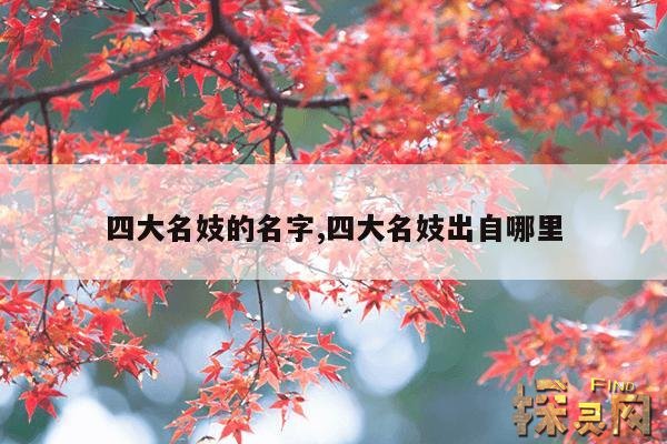 四大名妓的名字,四大名妓的名字是什么