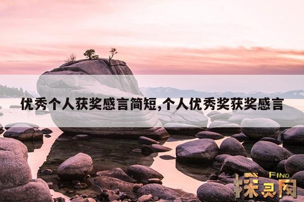 优秀个人获奖感言简短,优秀个人获奖感言简短100字