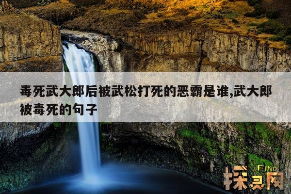 毒死武大郎后被武松打死的恶霸是谁,武松杀死的恶霸