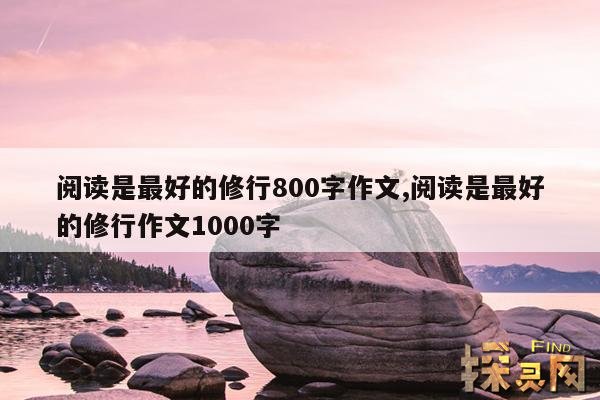 阅读是最好的修行800字作文,阅读是一种修行作文