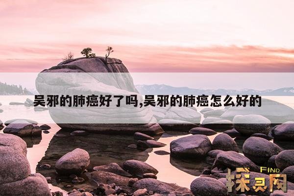 吴邪的肺癌好了吗？,吴邪的肺癌最后治好了吗？