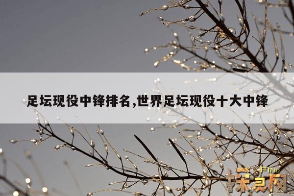 足坛现役中锋排名,足坛现役中锋排名前十