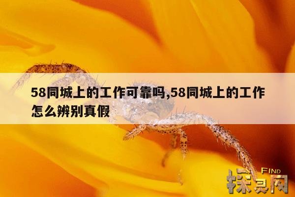 58同城上的工作可靠吗？,58同城上的工作可靠吗？工资都很高