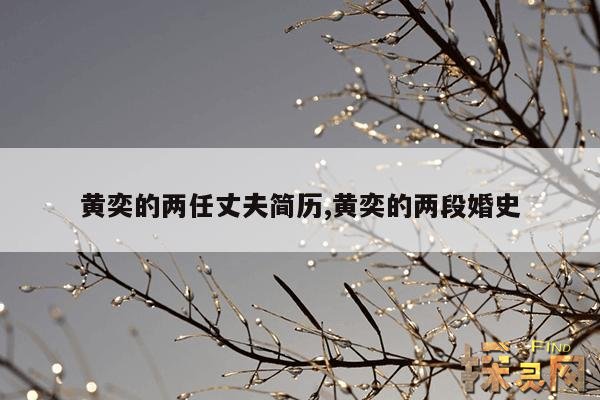 黄奕的两任丈夫简历,黄奕二任丈夫