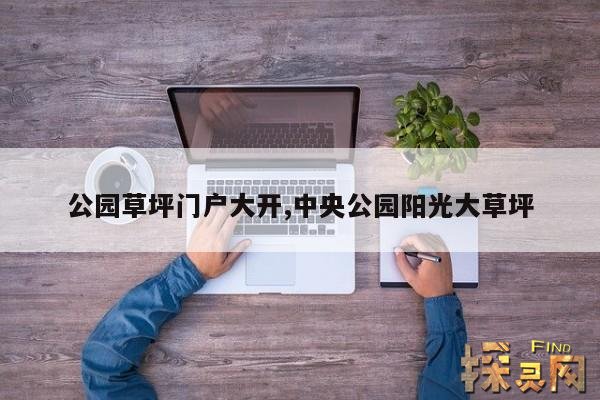 公园草坪门户大开,公园草坪图片