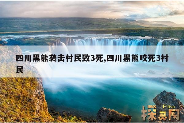 四川黑熊袭击村民致3死,四川黑熊咬死3村民