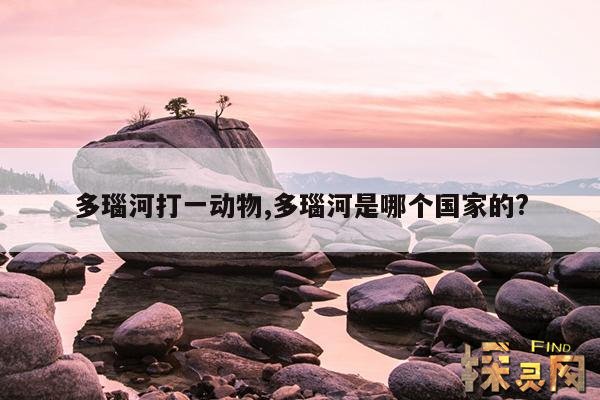 多瑙河打一动物,多瑙河是哪条河