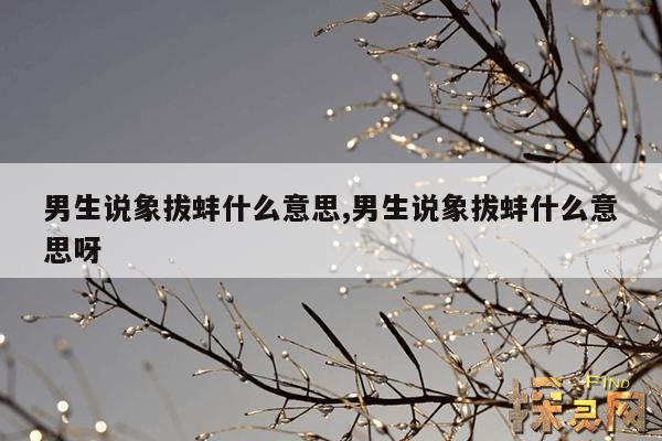 男生说象拔蚌什么意思,说女生象拔蚌