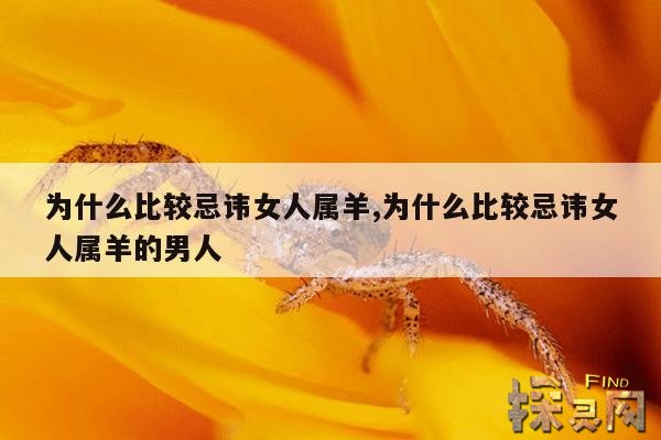 为什么比较忌讳女人属羊,属羊人什么一碰就发财