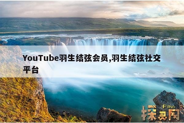 YouTube羽生结弦会员,羽生结弦门票价格