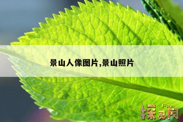 景山人像图片,景山人像图片高清