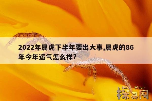 2022年属虎下半年要出大事,2022年属虎下半年要出大事女