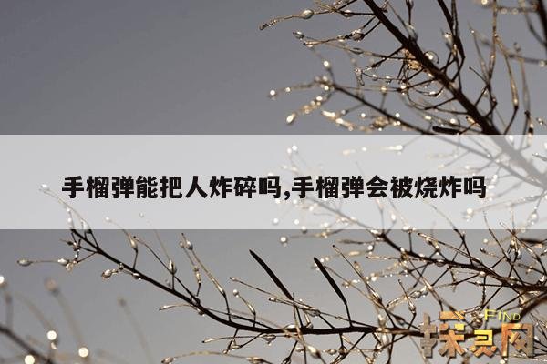 手榴弹能把人炸碎吗？,手榴弹能把人炸碎吗？