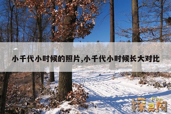 小千代小时候的照片,小千代小时候长大对比