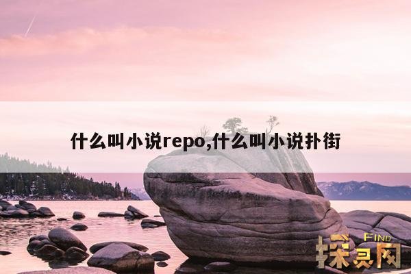 什么叫小说repo,什么叫小说人物出场