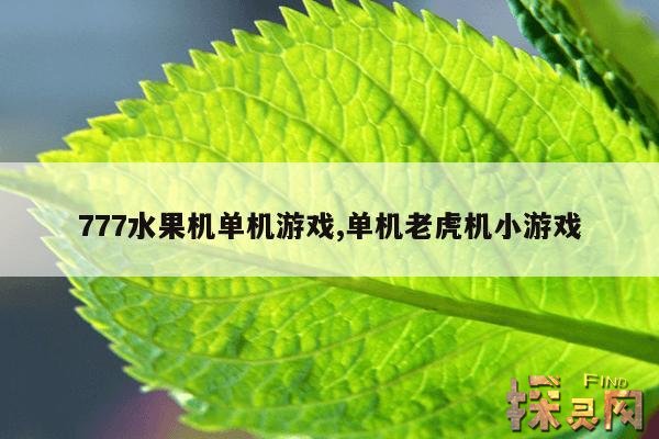 777水果机单机游戏,777水果机单机游戏在线玩