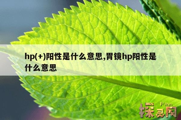 hp(+)阳性是什么意思,hpv16阳性是什么意思