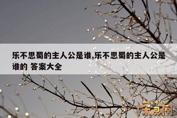 乐不思蜀的主人公是谁,赔了夫人又折兵的主人公是谁