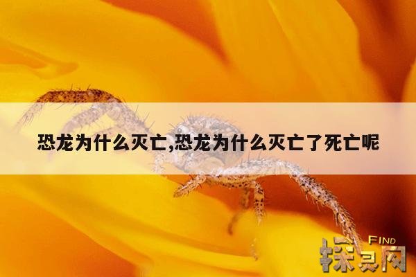 恐龙为什么灭亡,恐龙为什么灭亡了死亡呢