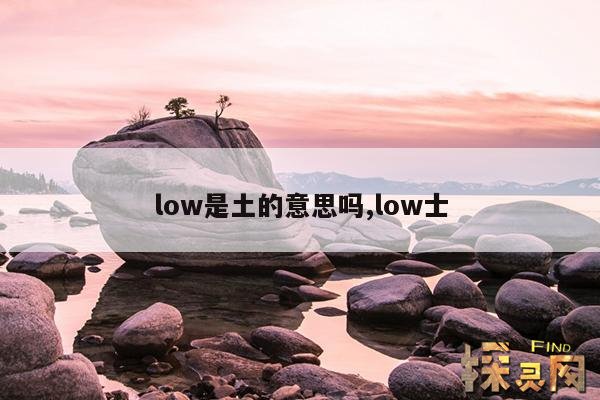 low是土的意思吗？,low low是什么意思