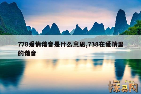 778爱情谐音是什么意思,807含义爱情谐音