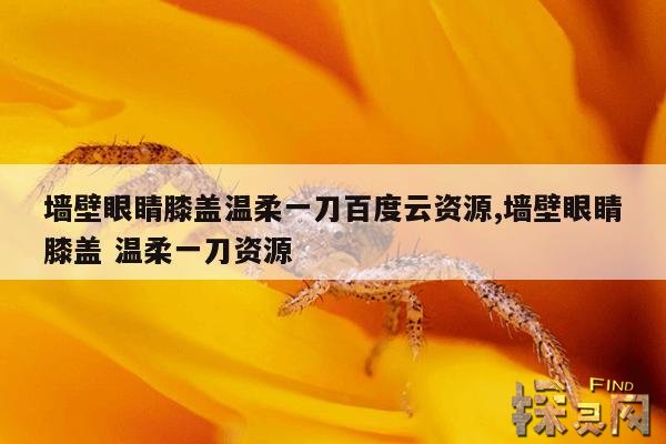 墙壁眼睛膝盖温柔一刀百度云资源,墙壁眼睛膝盖 温柔一刀资源