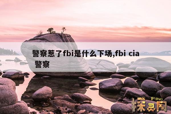 警察惹了fbi是什么下场,fbl 警察