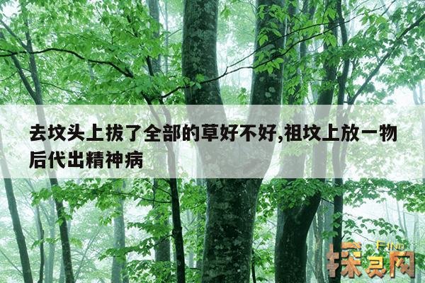 去坟头上拔了全部的草好不好,去坟头上拔了全部的草好不好呀