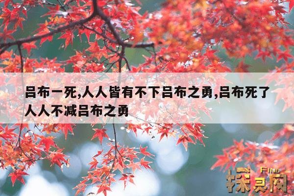 吕布一死,吕布一死众将皆有吕布之勇