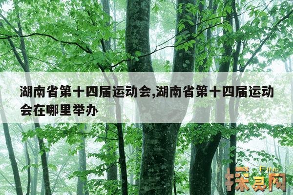 湖南省第十四届运动会,湖南省第十四届运动会开幕式直播