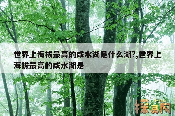 世界上海拔最高的咸水湖是什么湖？,世界上海拔最高的咸水湖是()