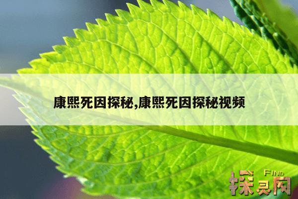 康熙死因探秘,康熙死因探秘视频