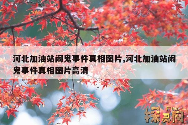 河北加油站闹鬼事件真相图片,河北一加油站发生命案