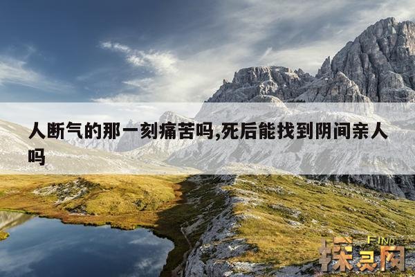 人断气的那一刻痛苦吗？,人断气的那一刻痛苦吗？小狗会怎么样