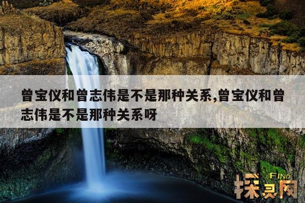 曾宝仪和曾志伟是不是那种关系,曾宝仪和曾志伟是不是那种关系呀