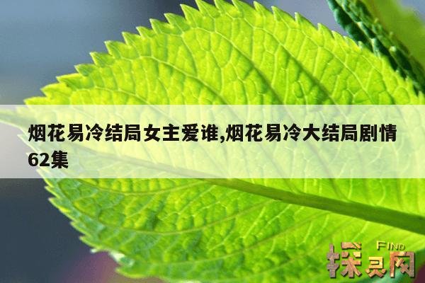 烟花易冷结局女主爱谁,烟花易冷结局女主爱谁了