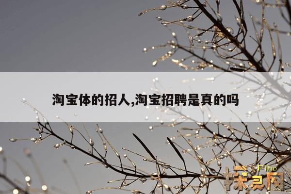 淘宝体的招人,淘宝招聘官网首页