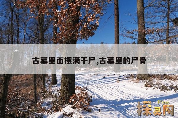 古墓里面摆满干尸,古墓里的尸骨