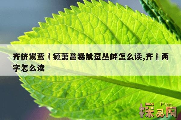 齐侪鬻鸾麤瘾萧邕爨龇虿丛衅怎么读,齐缞是什么意思