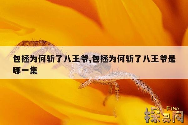 包拯为何斩了八王爷,杨家将为什么被满门抄斩