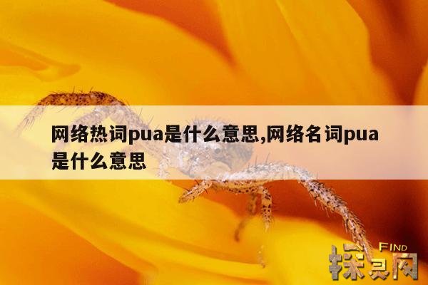 网络热词pua是什么意思,pua是什么意思网络用语