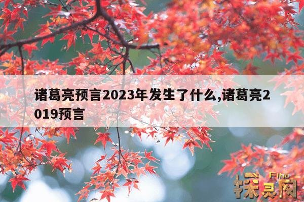 诸葛亮预言2023年发生了什么,诸葛亮真人尸骨