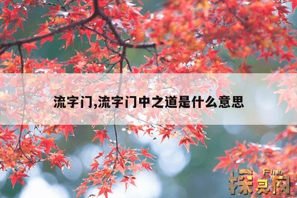 流字门,流字门中之道是什么