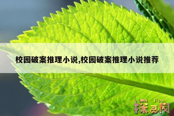 校园破案推理小说,校园破案推理小说排行榜