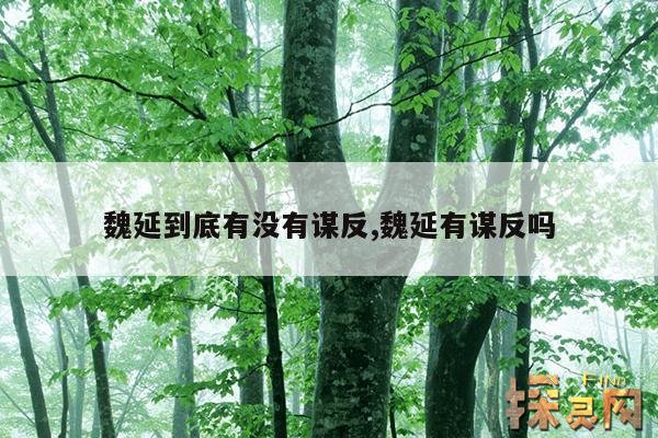 魏延到底有没有谋反,姜维支撑了多少年蜀国