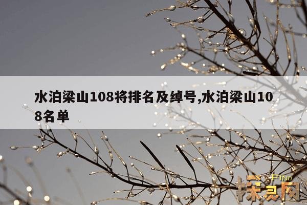 水泊梁山108将排名及绰号,水泊梁山108位好汉