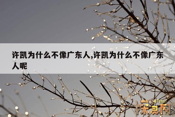 许凯为什么不像广东人,许凯是广东